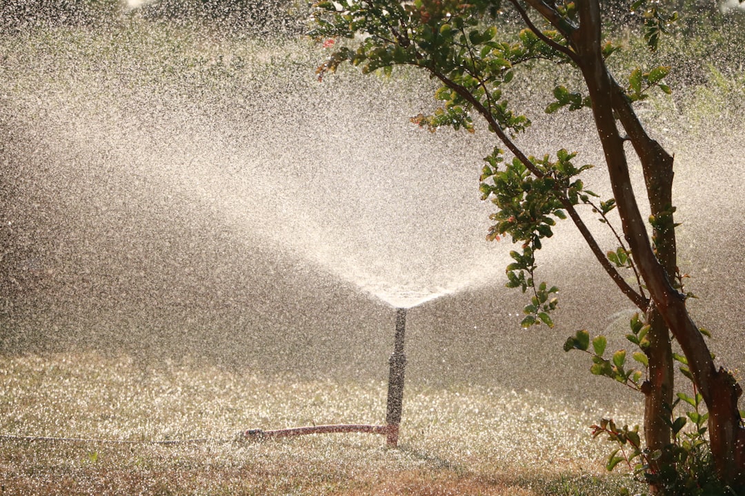 Slimme tuinsproeier besproeit efficiënt groene tuin.