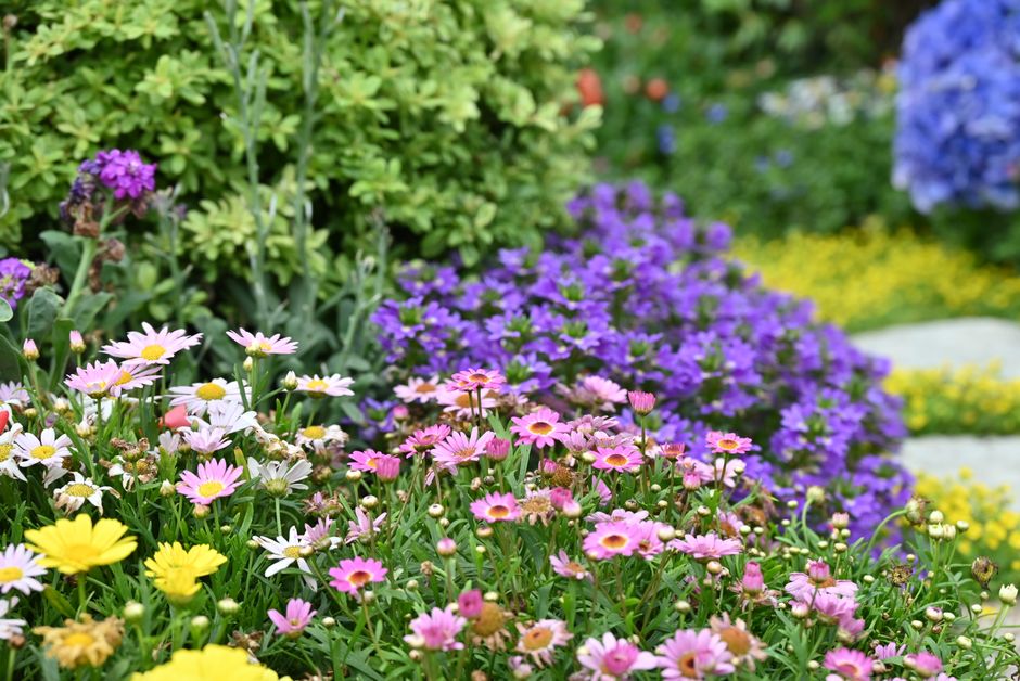 Moderne tuin met leemgestucte zitbank. Moderne tuin met leemgestucte zitbank.