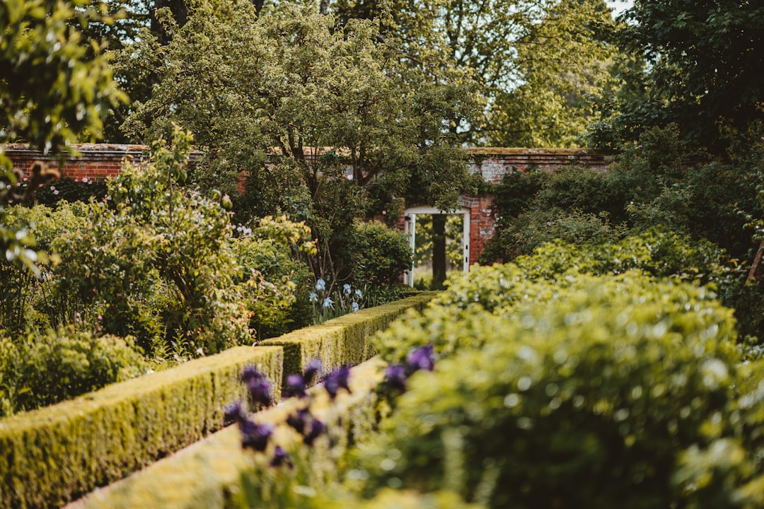 Een moderne ommuurde tuin met kleurrijke bloemen. Een moderne ommuurde tuin met kleurrijke bloemen.