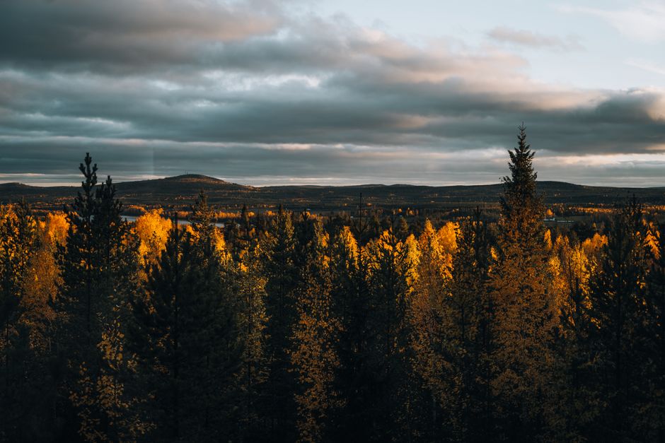 Nieuwe isolerende gordijnen besparen energiekosten herfst. Nieuwe isolerende gordijnen besparen energiekosten herfst.